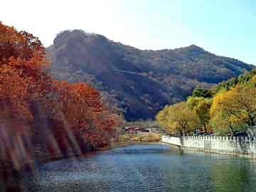 新澳天天开奖资料大全旅游团，潢川seo培训